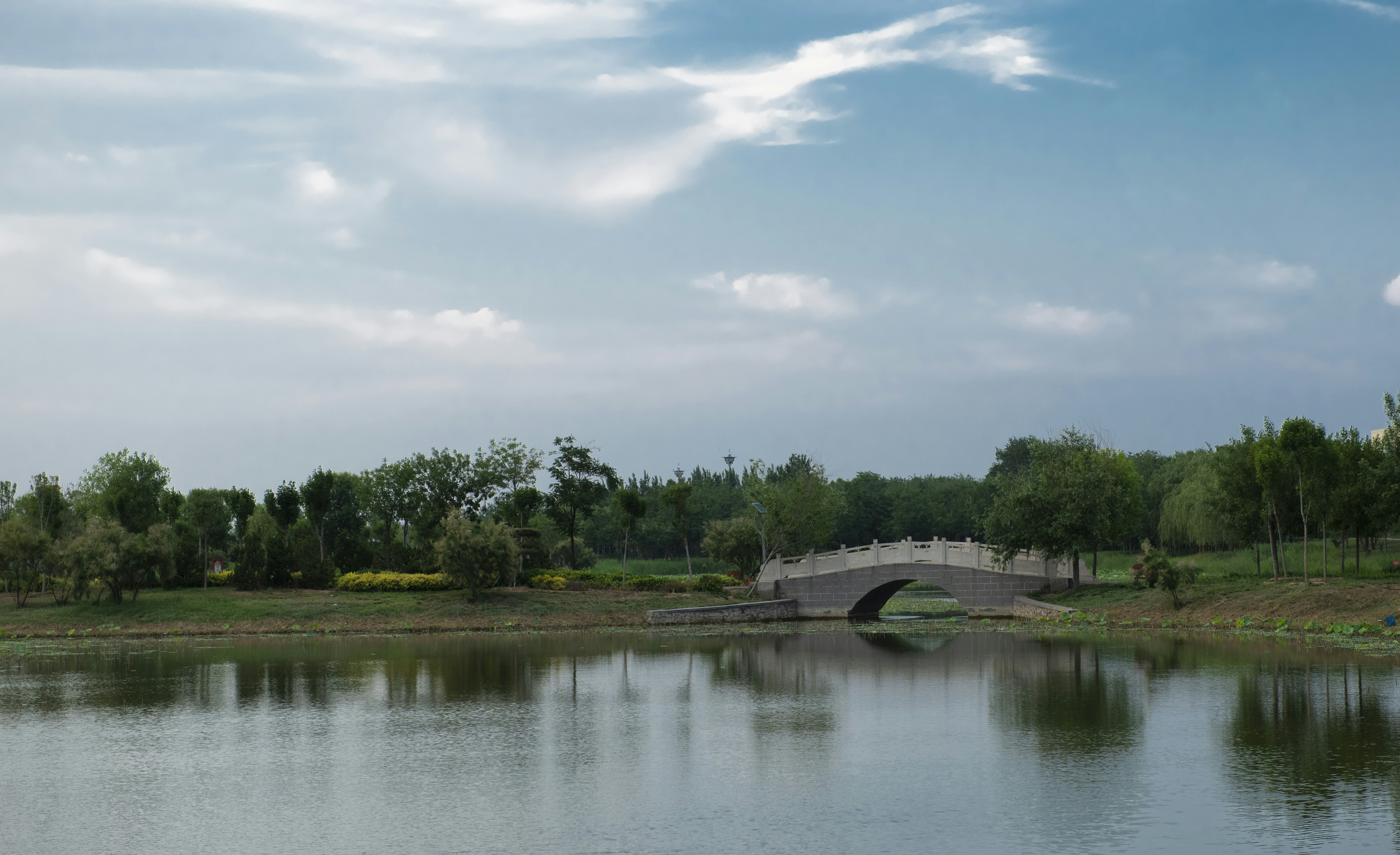 Photo by wangvictor222