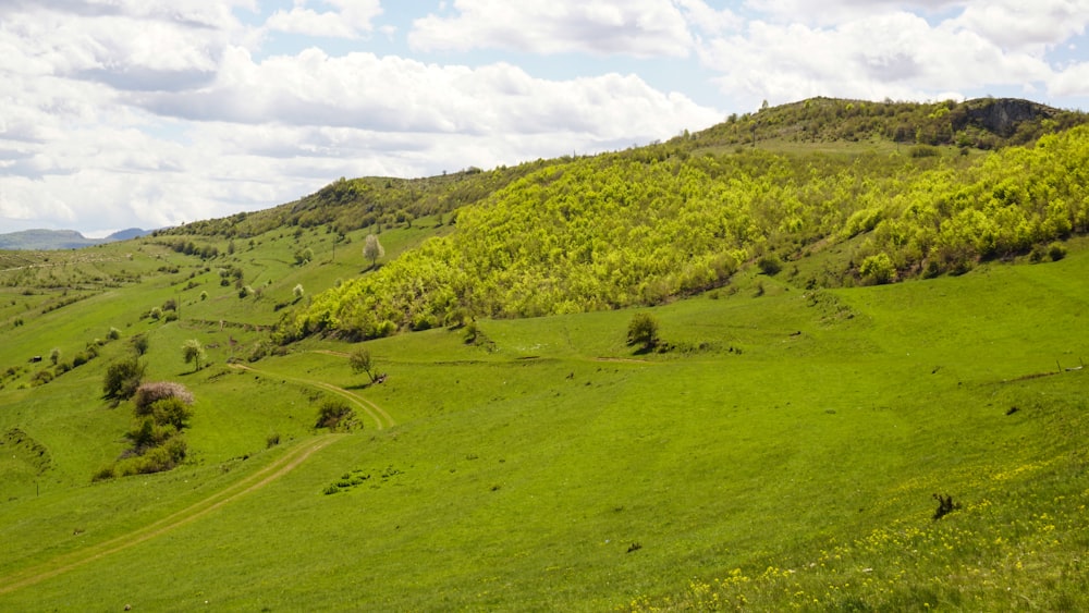 green grass field and mountain during daytime