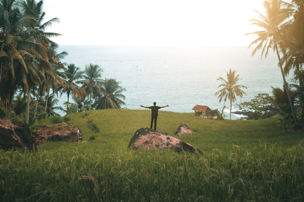 green grass field near body of water during daytime