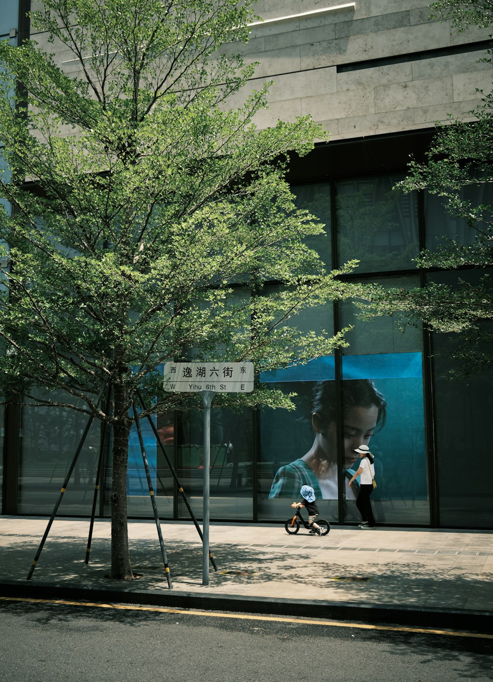 girl in black jacket riding bicycle near green tree during daytime