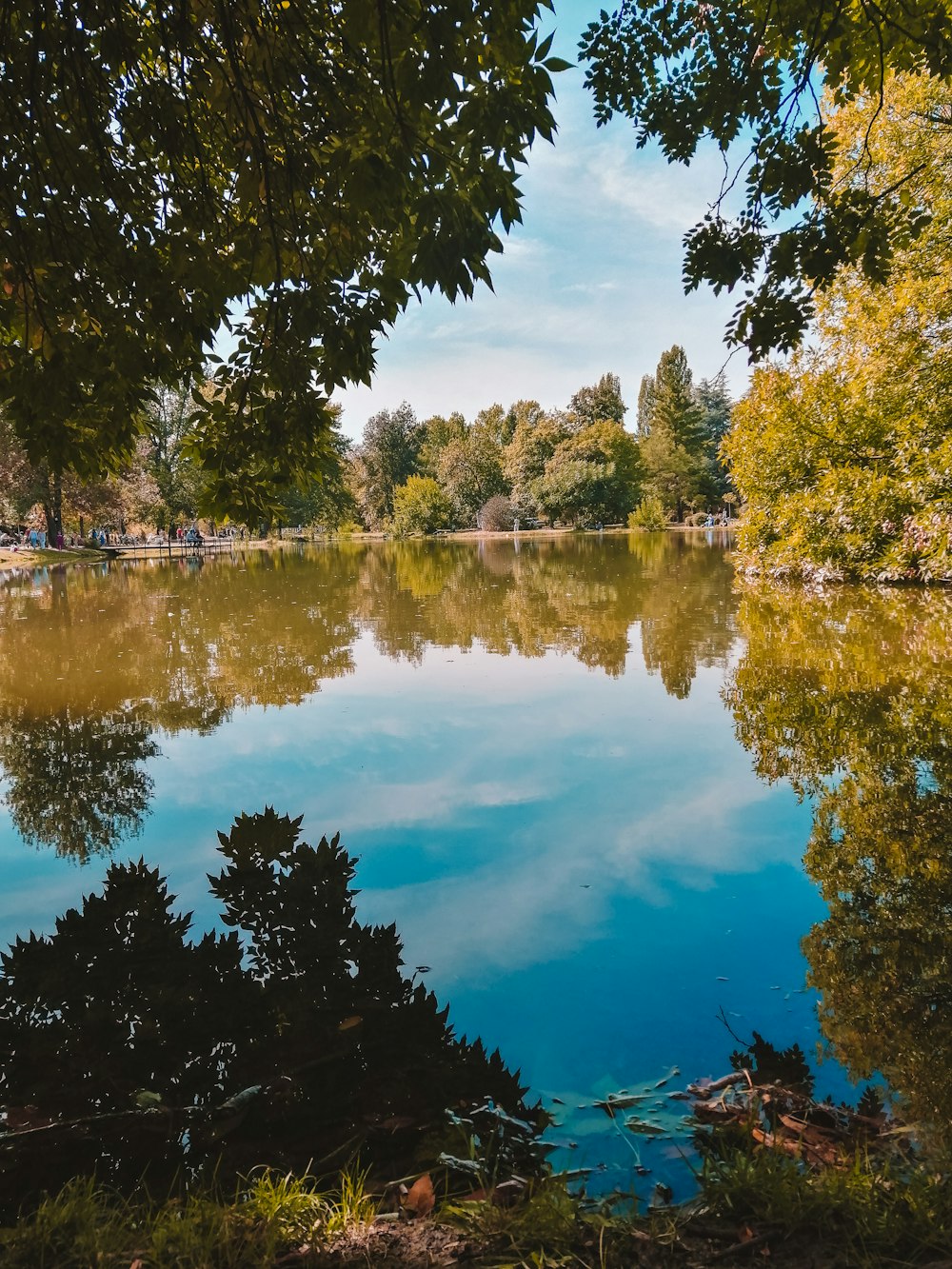 green trees beside lake under blue sky during daytime