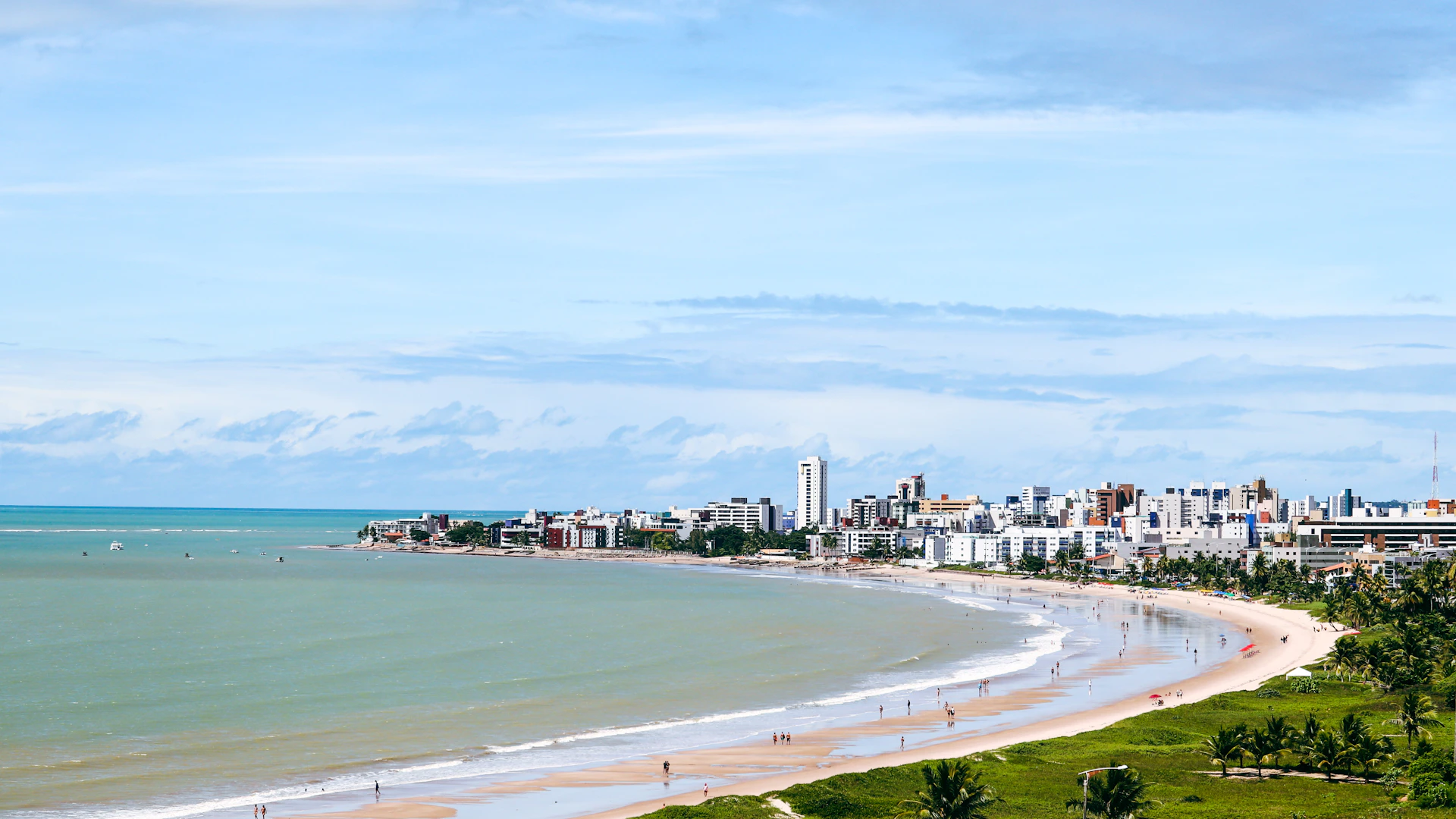 people on beach during daytime