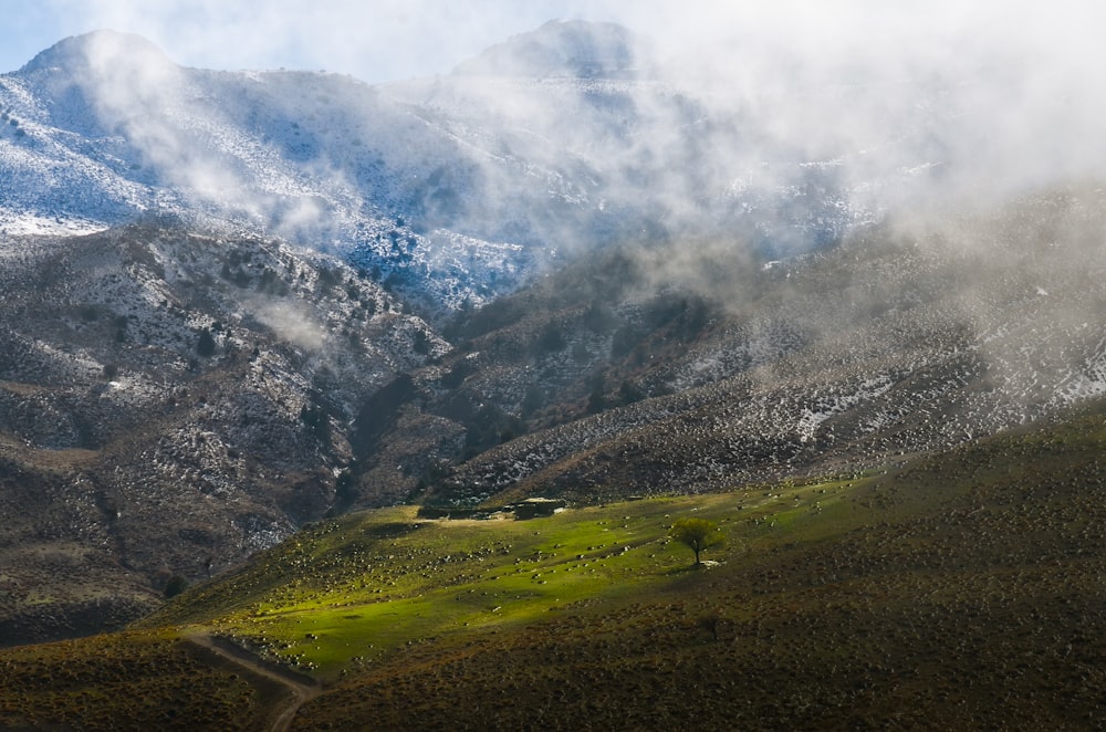 green grass field and mountain covered with snow