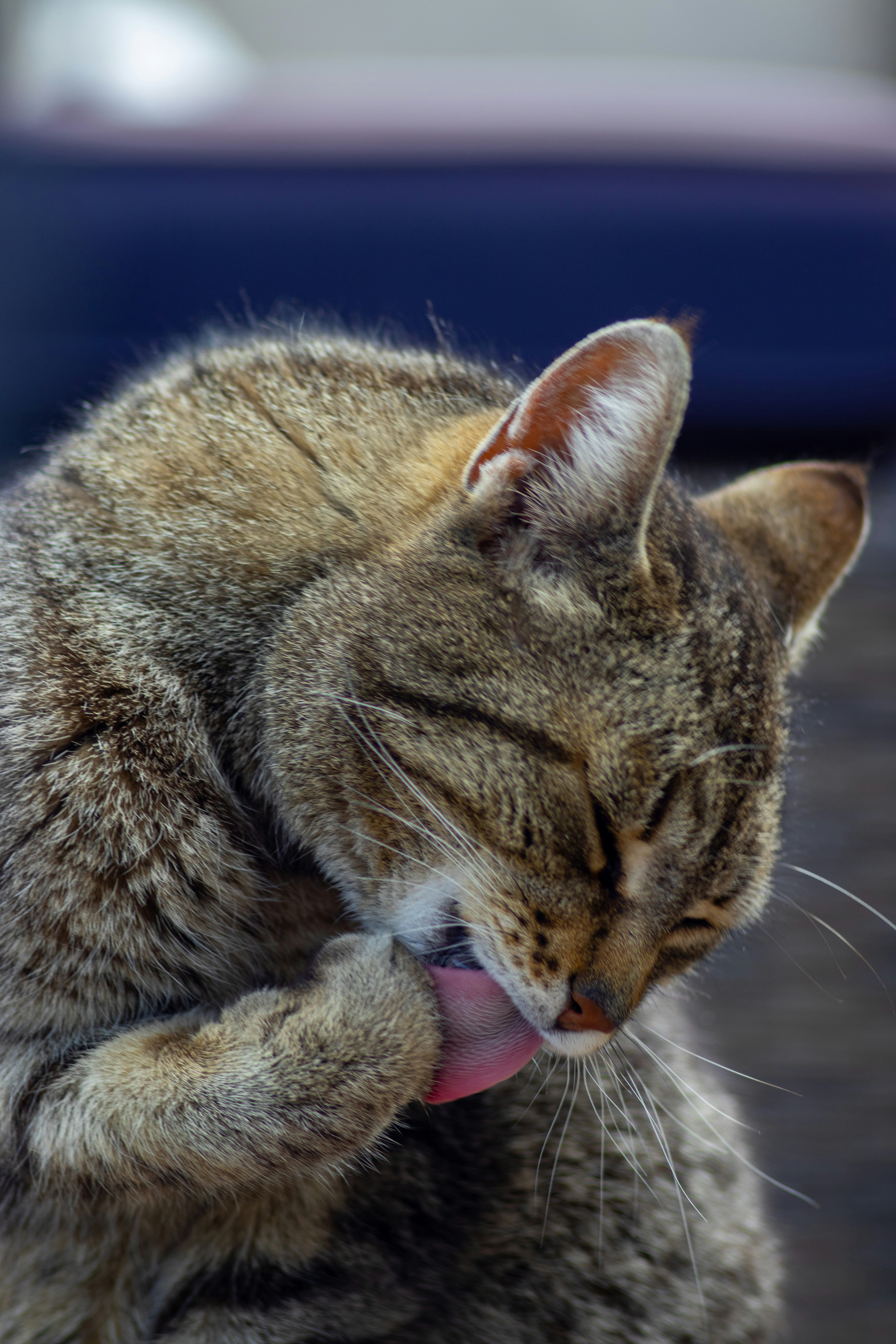 Photo by jakubuzieblo