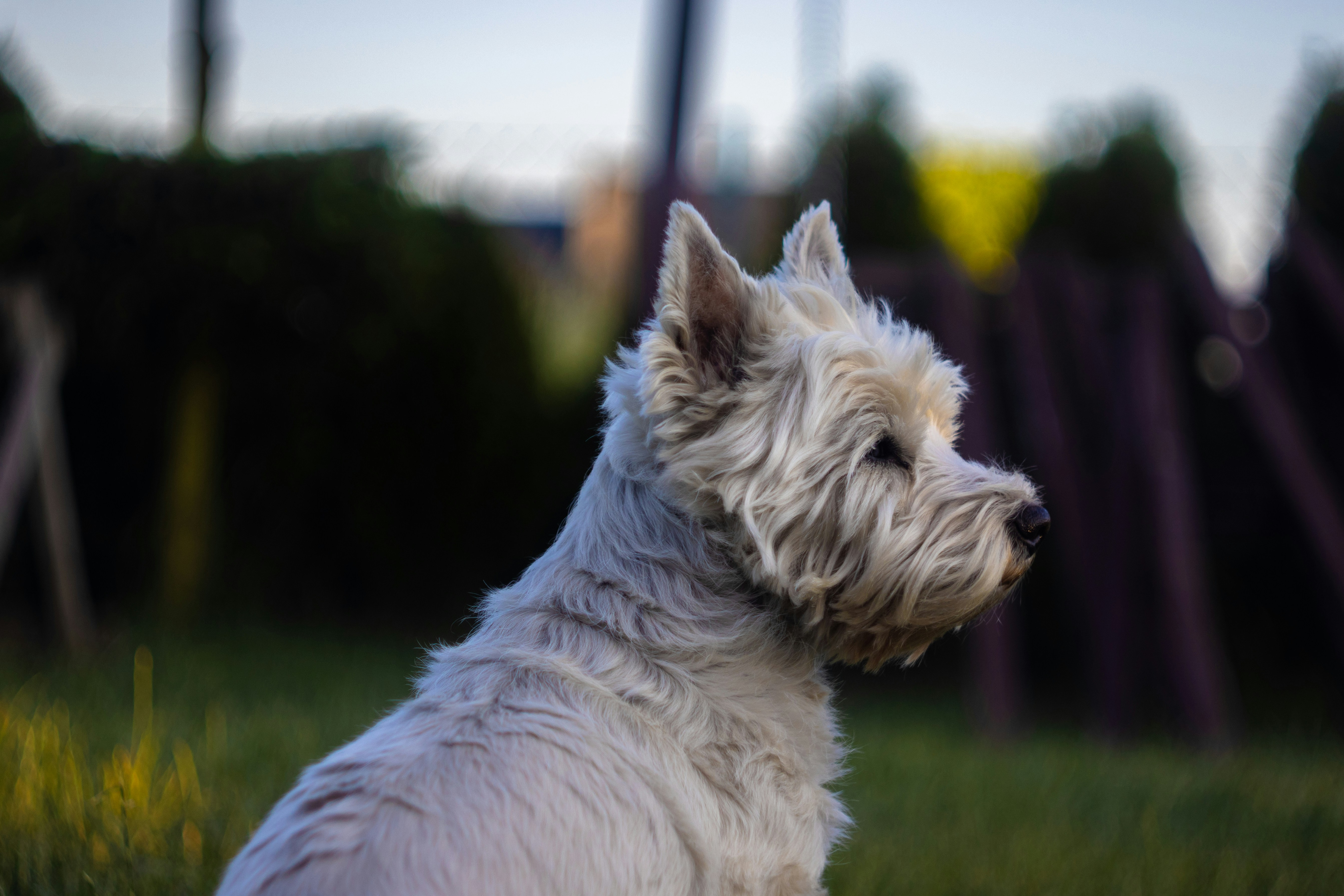 Photo by jakubuzieblo