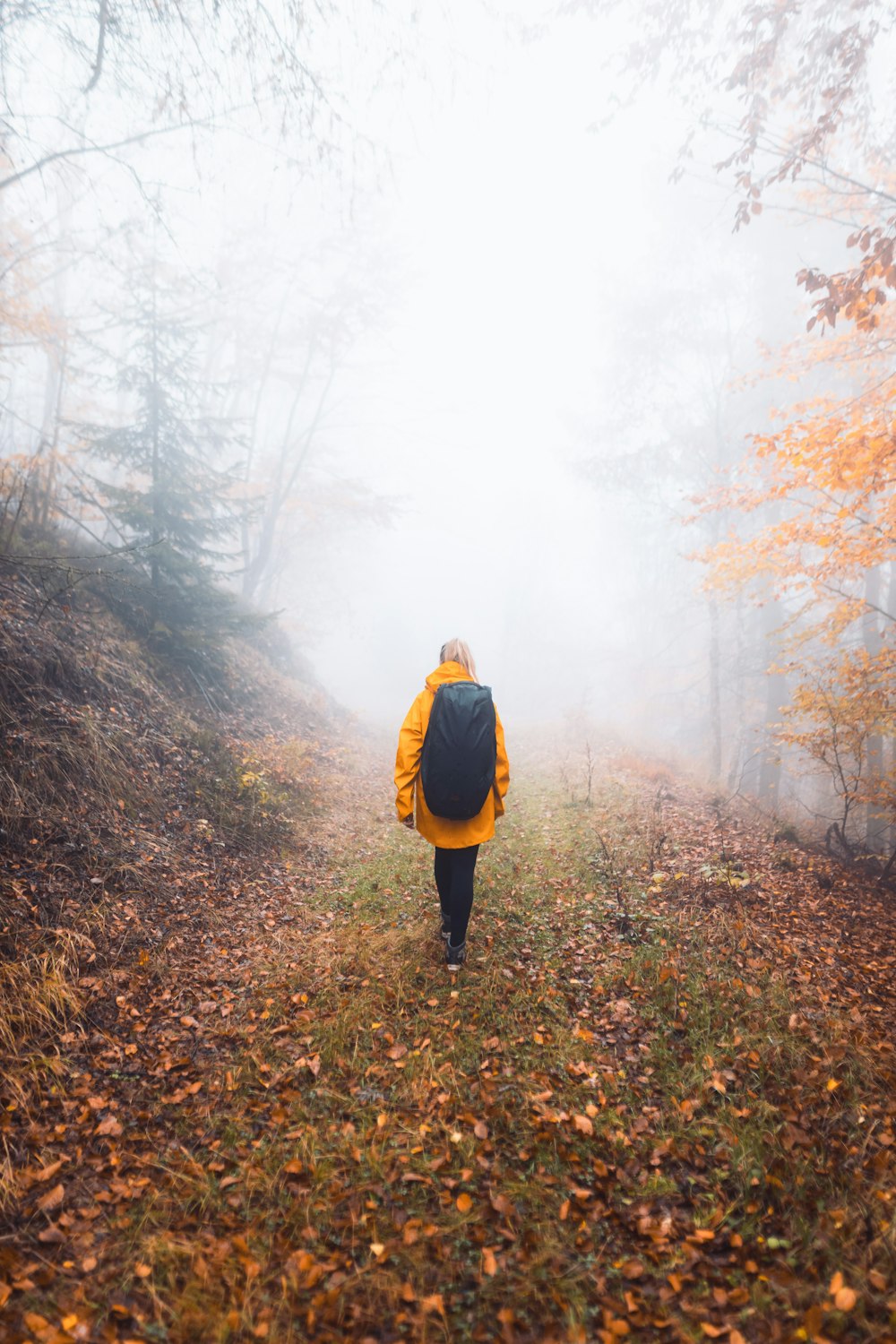 a person in a yellow jacket is walking through the woods