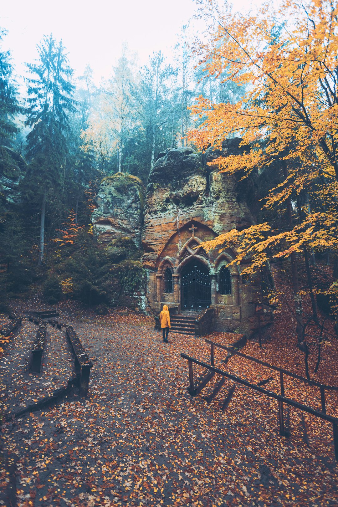 brown wooden house in the middle of forest during daytime