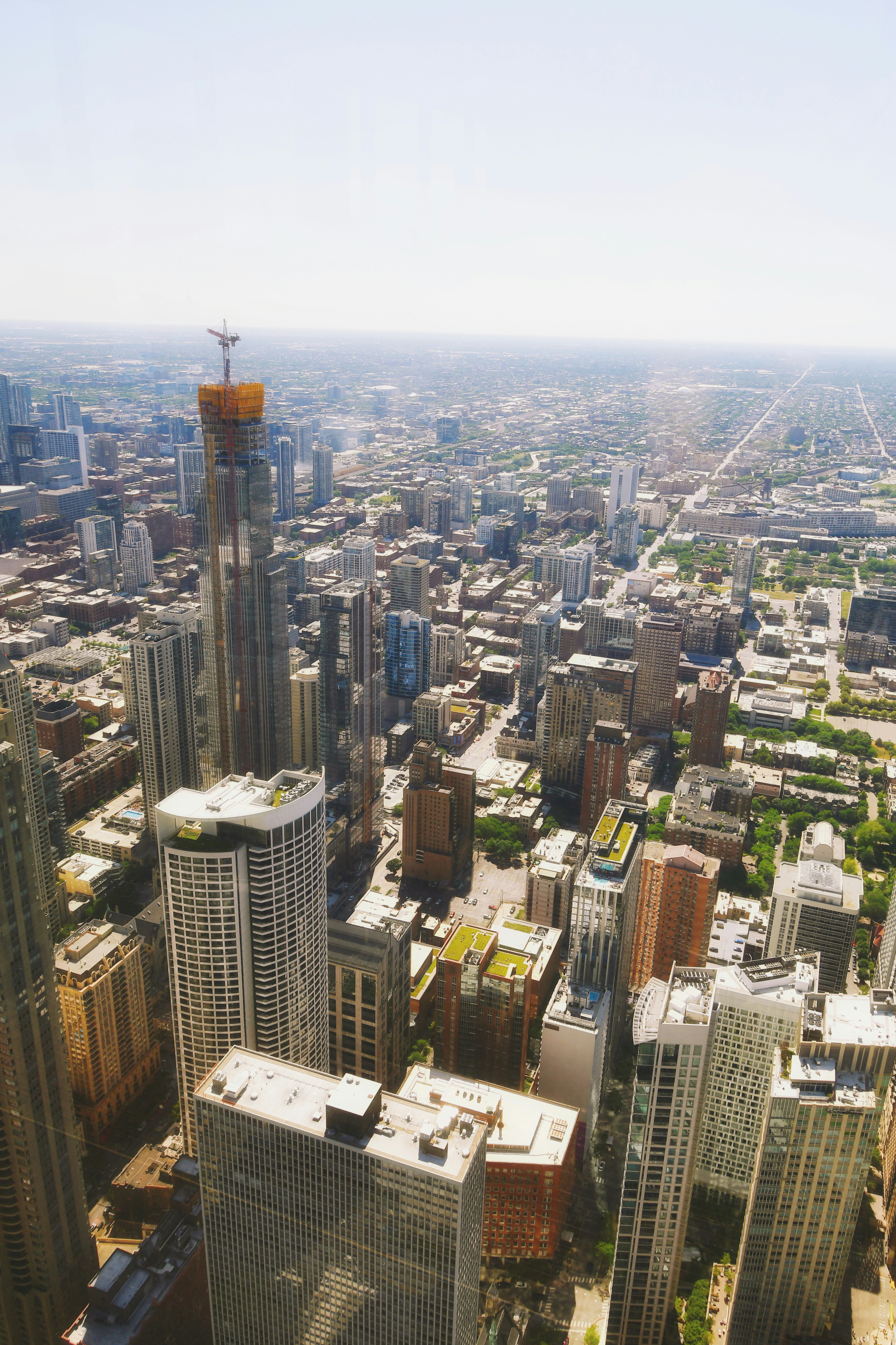 Photo by harlynkingm