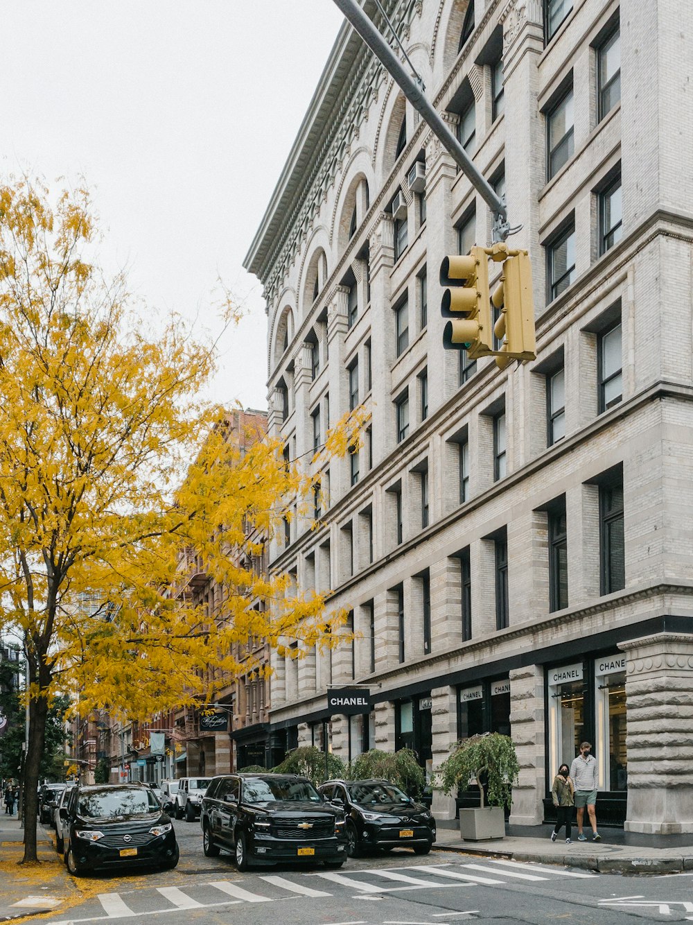 yellow leaf tree near white concrete building during daytime