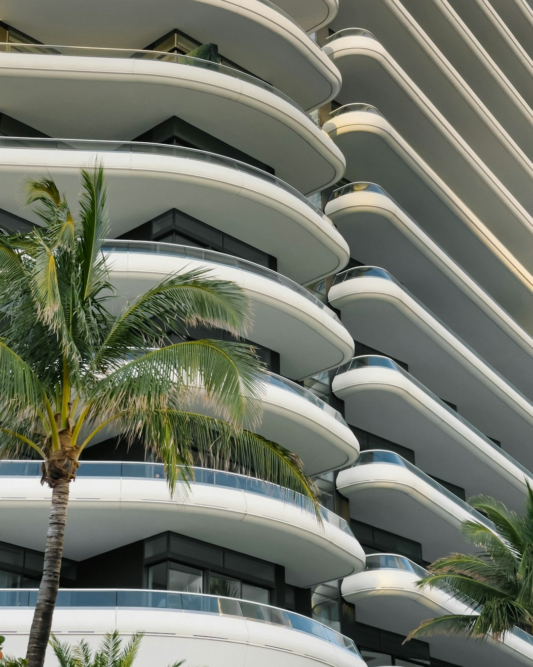 white concrete building with green palm tree