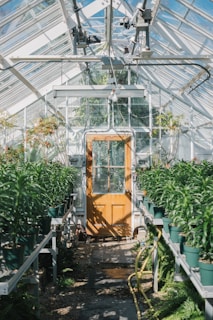 brown wooden seat in greenhouse