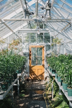 brown wooden seat in greenhouse
