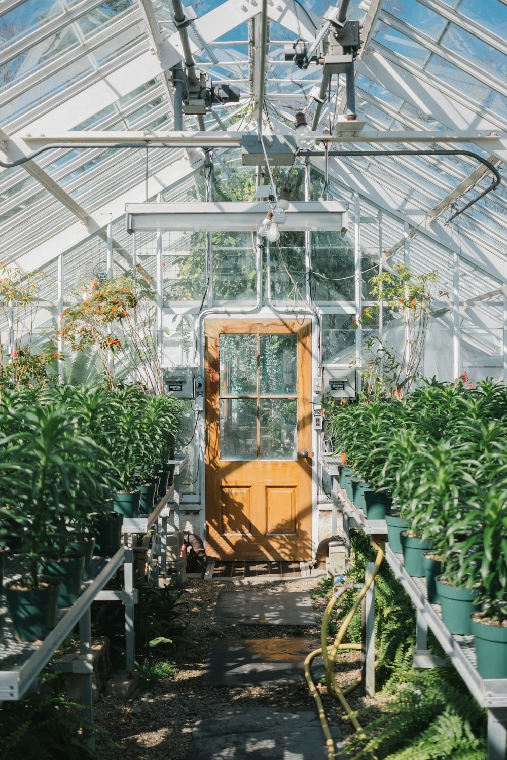 brown wooden seat in greenhouse