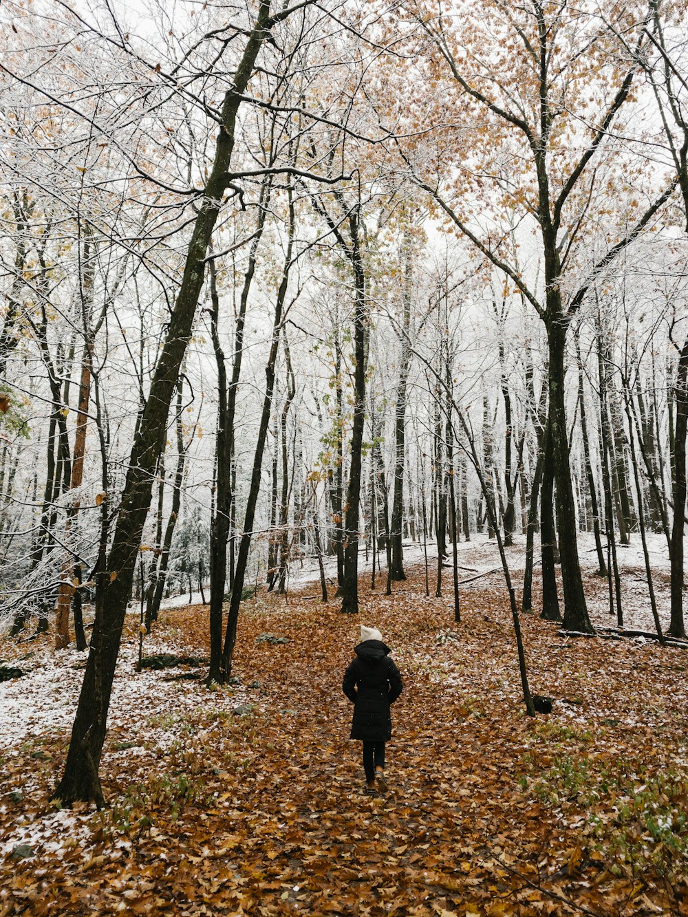 person in black jacket walking on forest during daytime