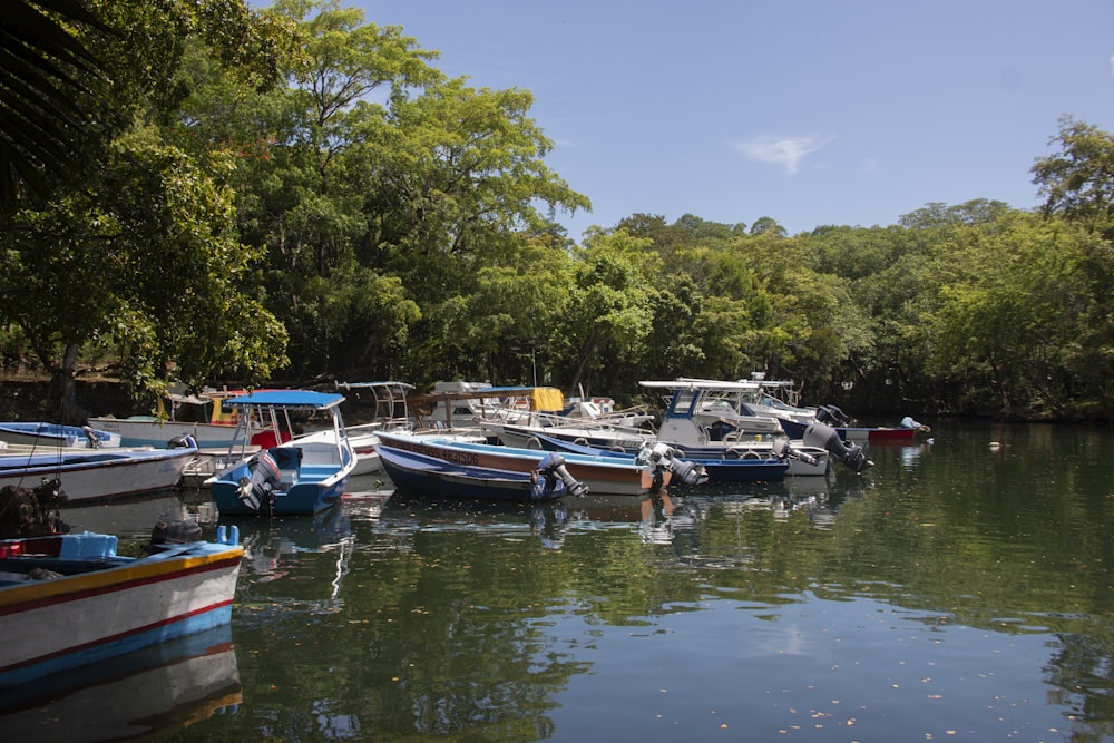 boats on river near green trees during daytime