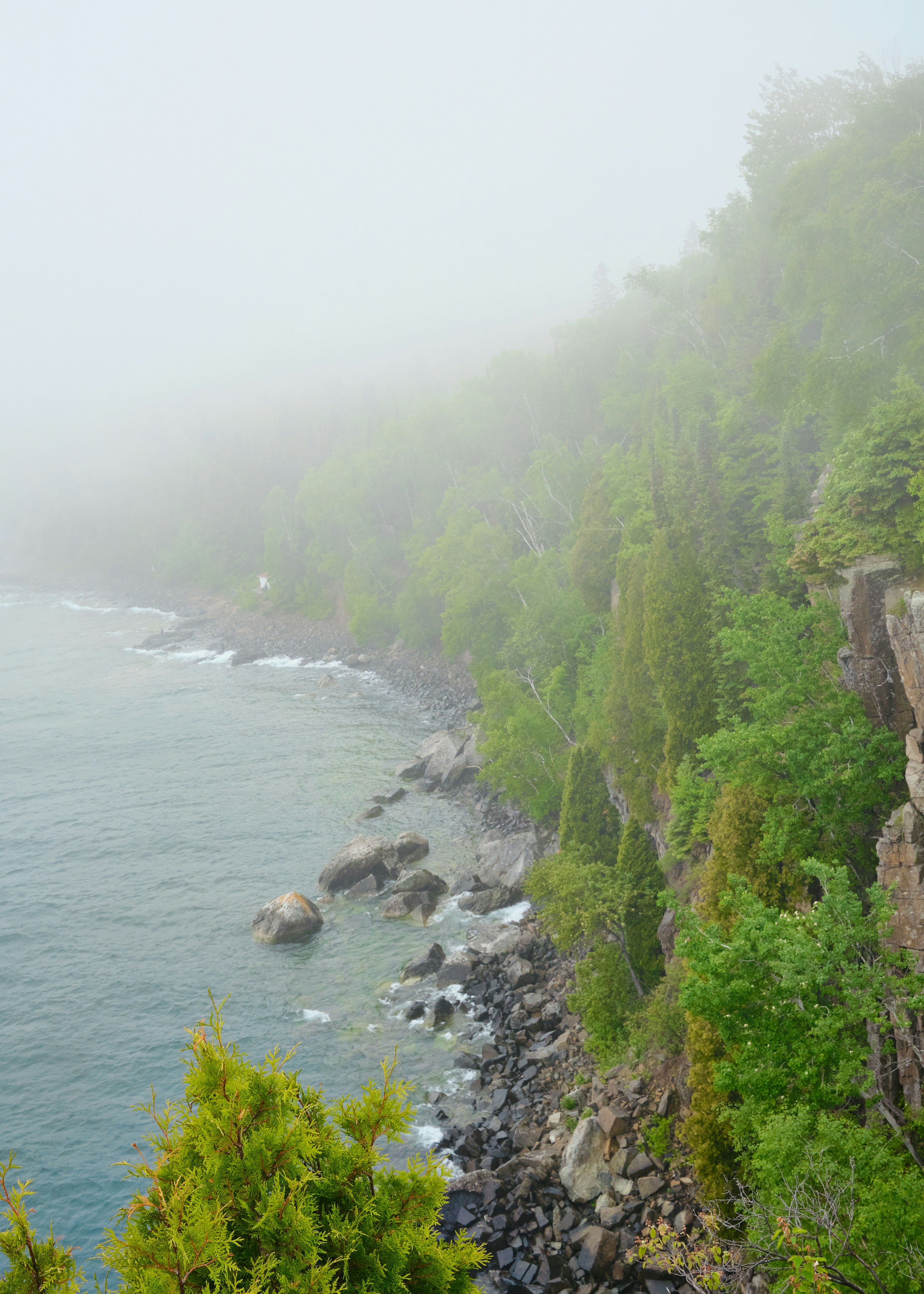 Photo by brandoncormier