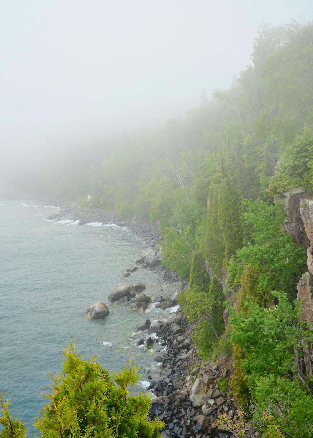 green trees on brown rocky mountain beside body of water during daytime