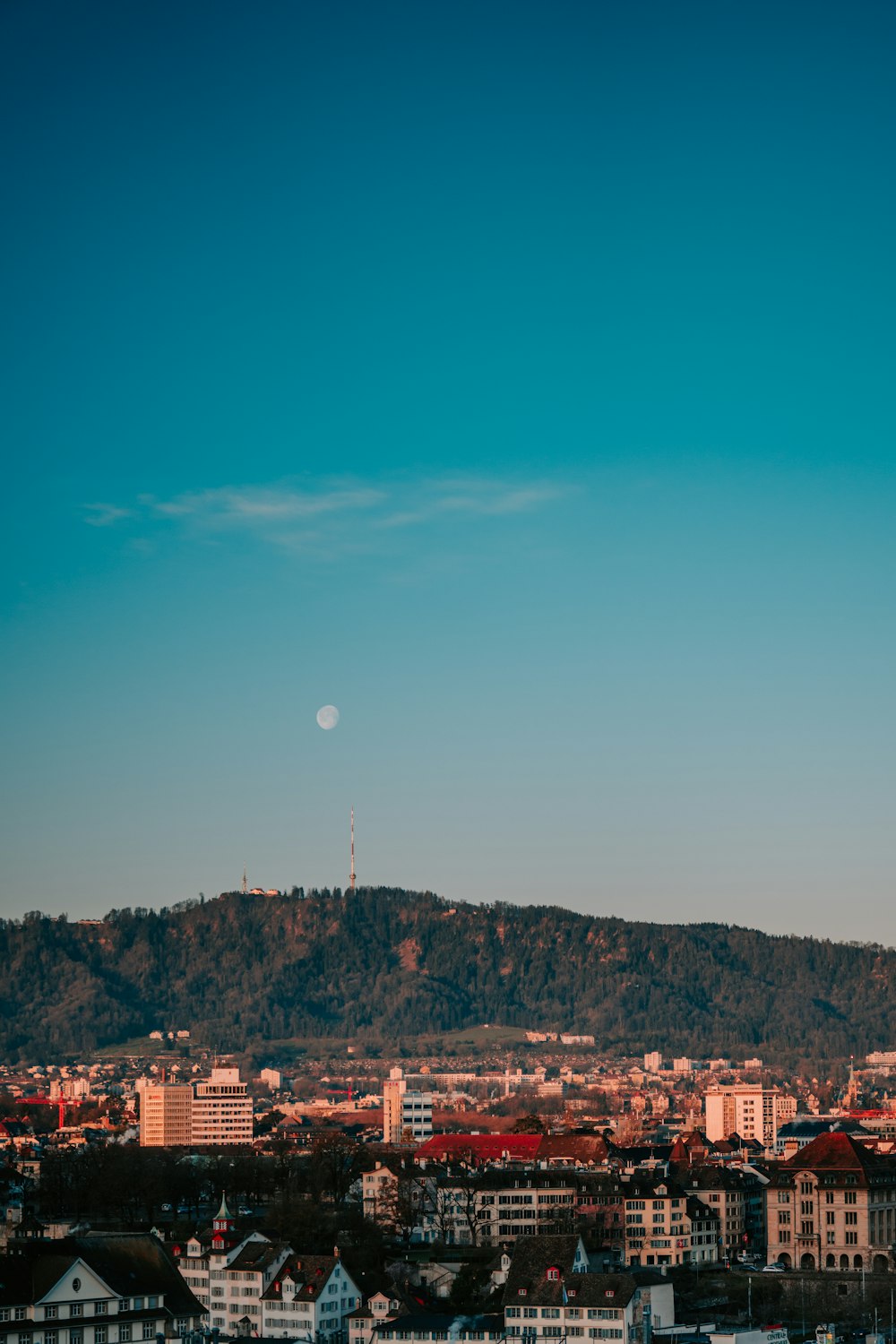 city with high rise buildings under blue sky during daytime