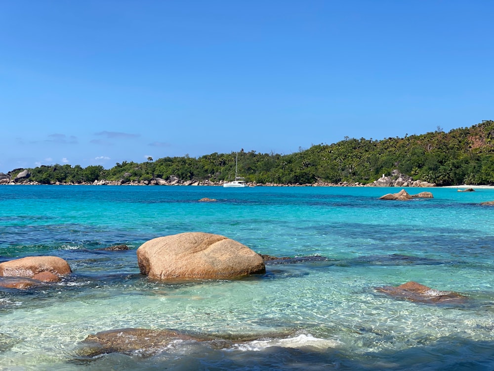 people swimming on beach during daytime