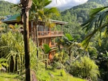 A wooden house is nestled among lush green palm trees and dense vegetation on a hillside. The structure has multiple levels with balconies that offer views of the surrounding forested landscape. Sunny weather bathes the scene, highlighting the vibrant greens and the house's warm wooden tones.