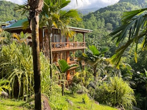 A wooden house is nestled among lush green palm trees and dense vegetation on a hillside. The structure has multiple levels with balconies that offer views of the surrounding forested landscape. Sunny weather bathes the scene, highlighting the vibrant greens and the house's warm wooden tones.