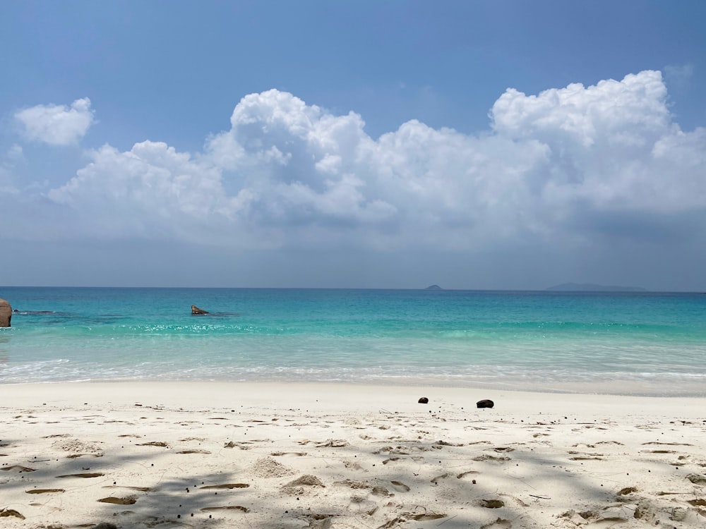 white sand beach during daytime