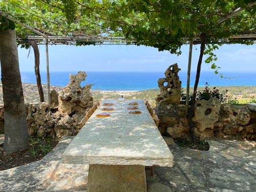 A long stone dining table is set outdoors, shaded by a pergola covered with green vines. The table is surrounded by chairs and features yellow plates neatly arranged in a row. In the background, a stunning view of the ocean and coastline can be seen, with a sky that is mostly clear and blue. Natural stone formations flank the seating area, adding a rustic charm to the setting.