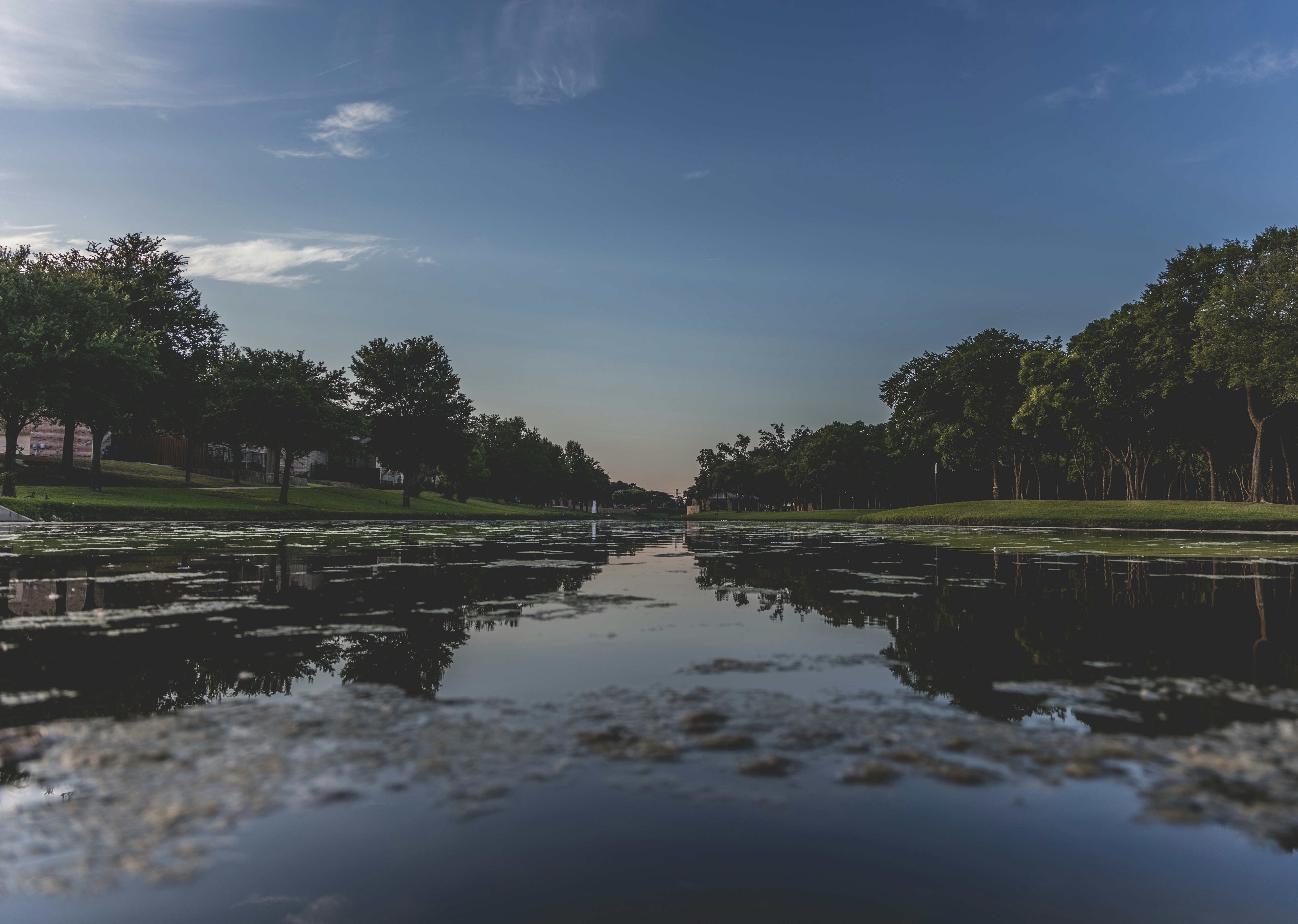 green trees beside river under blue sky during daytime