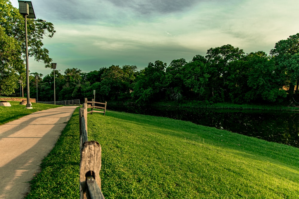 green grass field with trees under gray sky