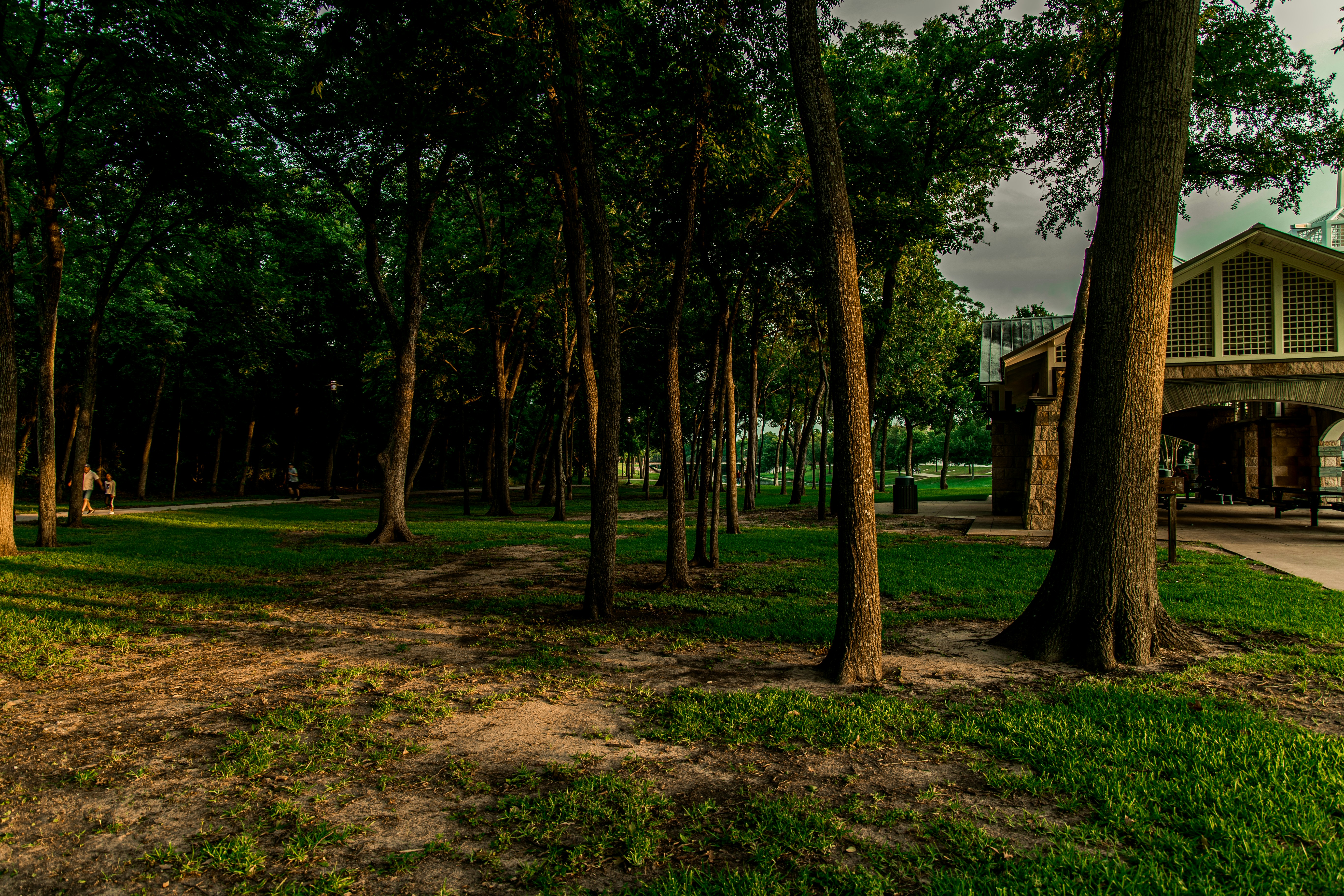 Photo by danieljerez