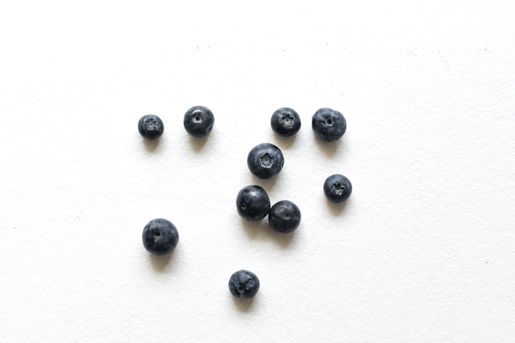 Myrtille — Vaccinium myrtillus