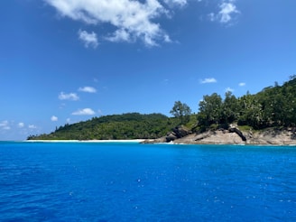 A scenic view of Rote Island's coastline with clear blue waters and sandy beaches.