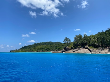A scenic view of Rote Island's coastline with clear blue waters and sandy beaches.