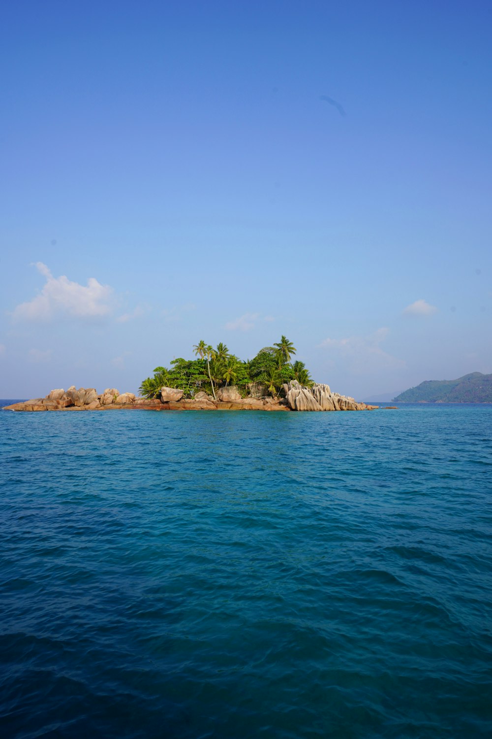 green trees on island surrounded by water during daytime