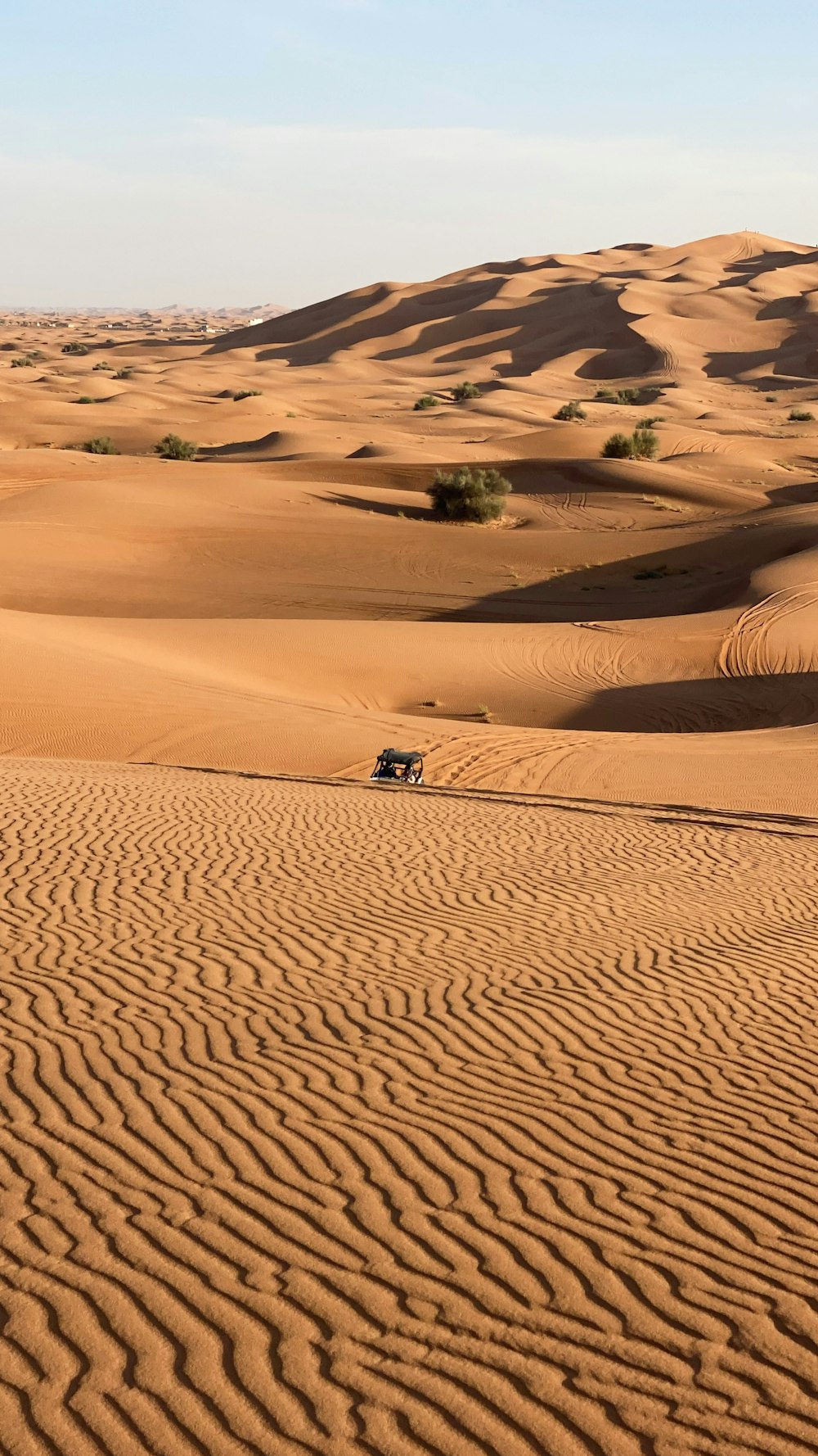 persone che camminano sul deserto durante il giorno