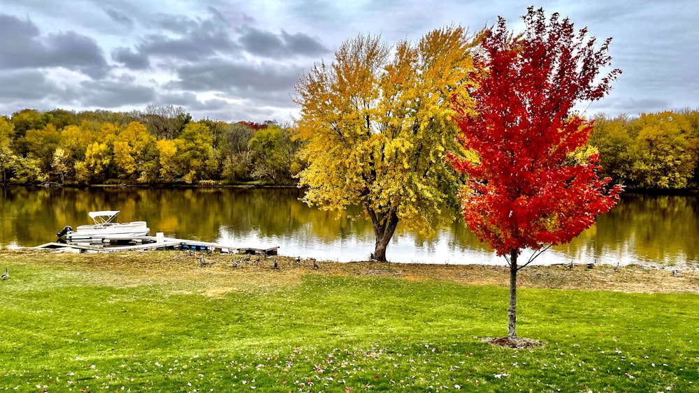 낮 동안 호수 근처의 빨간색과 노란색 잎 나무