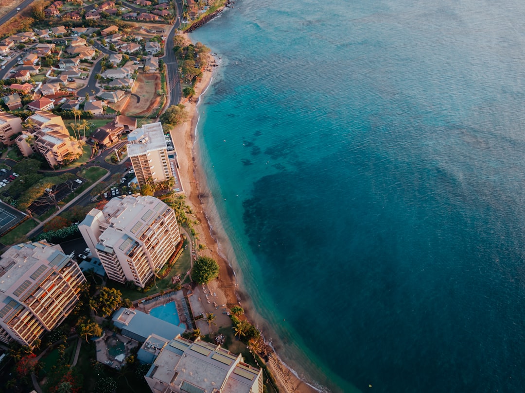 aerial view of city buildings near body of water during daytime