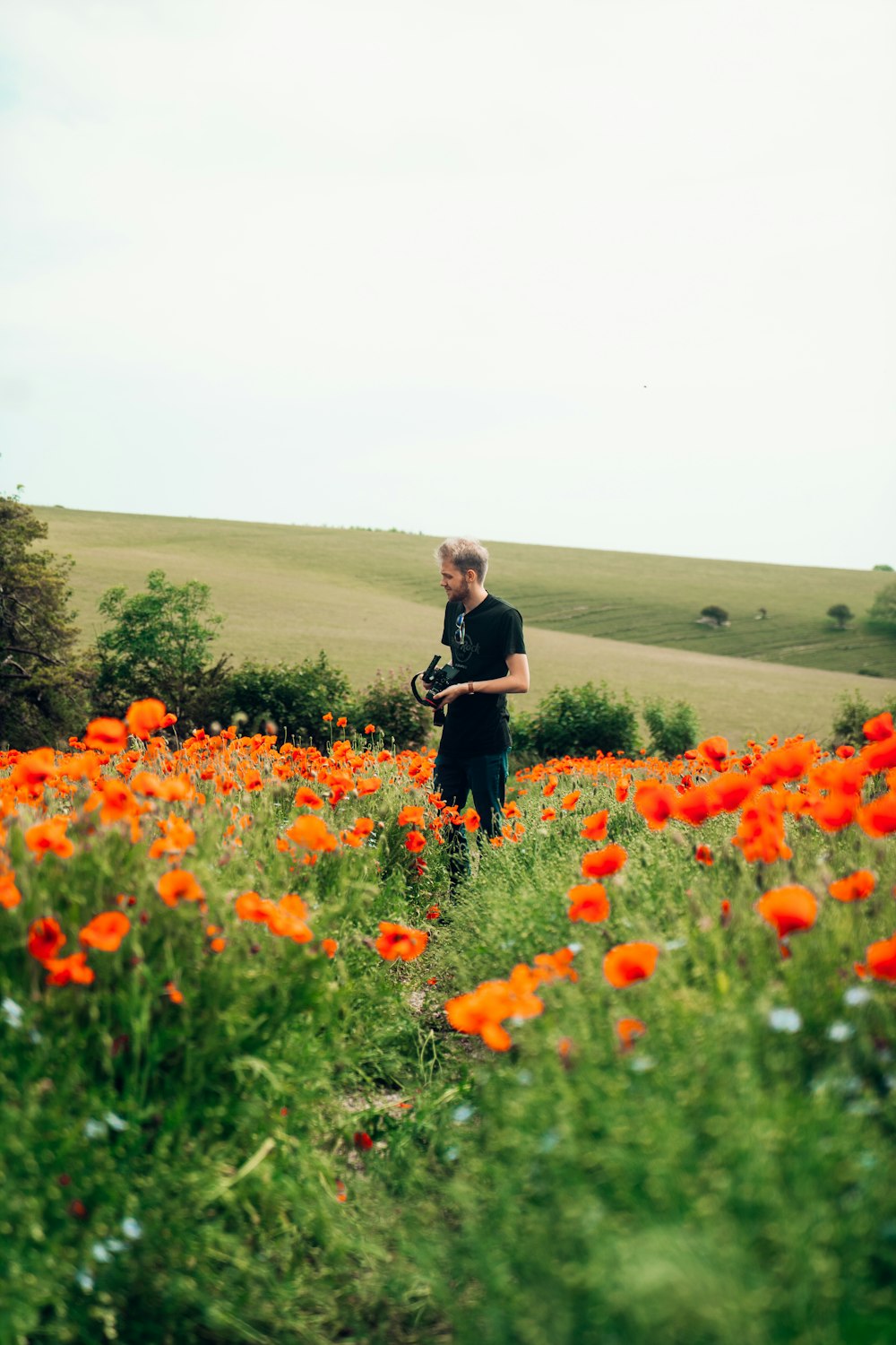 woman in black coat standing on red flower field during daytime