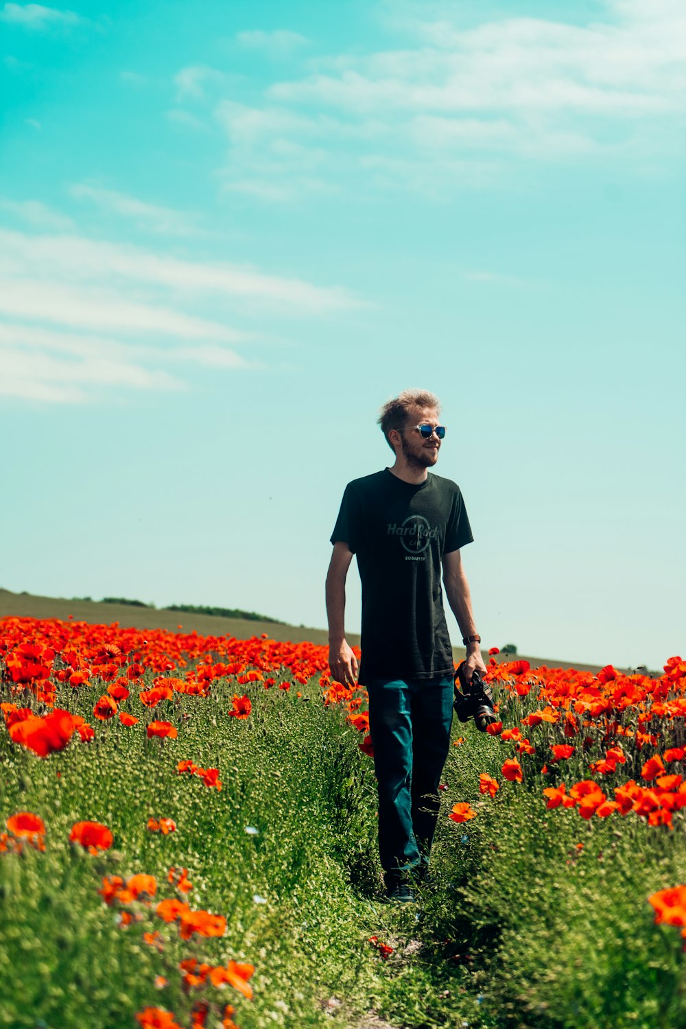 man in black crew neck t-shirt standing on red flower field during daytime