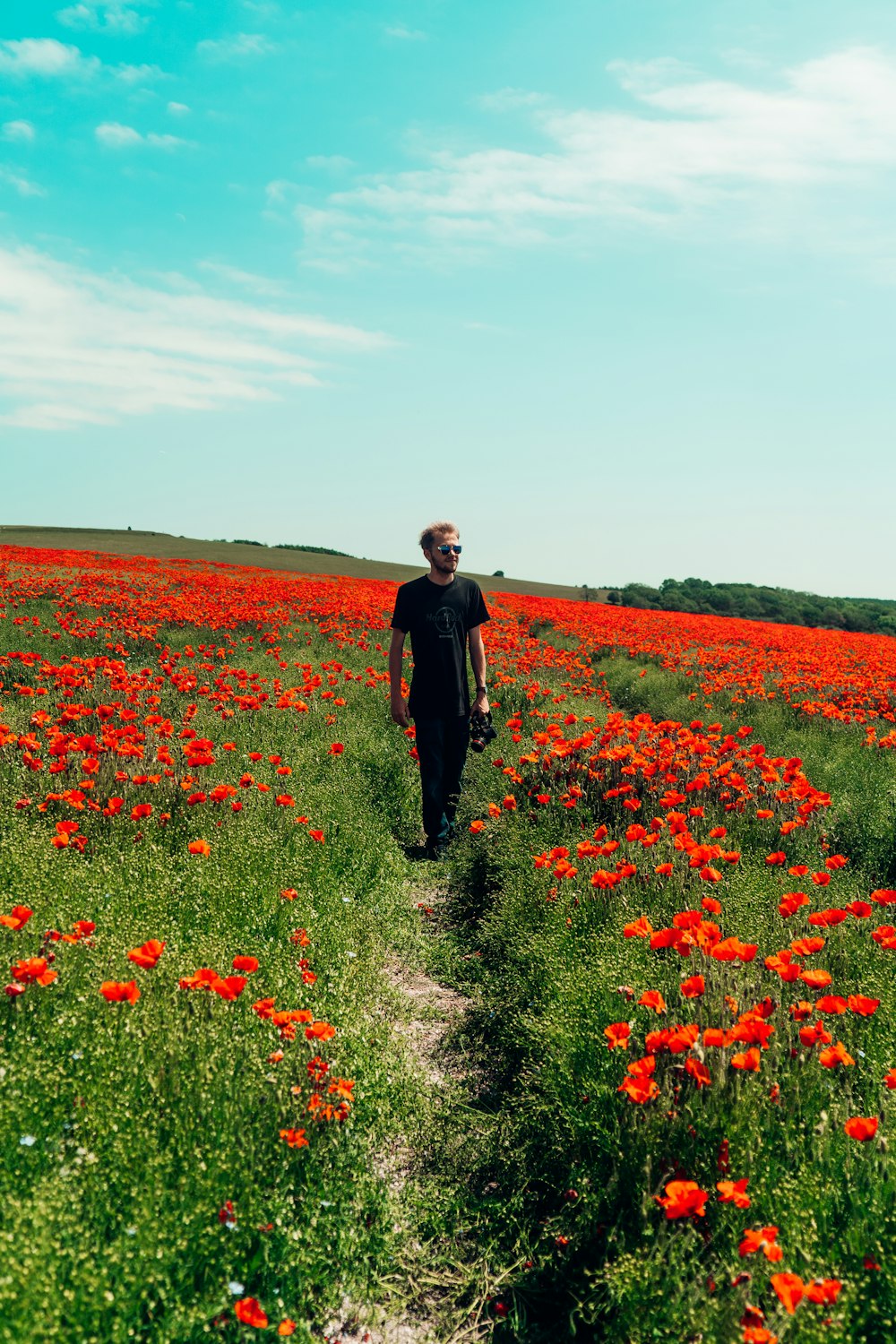 Mann in schwarzer Jacke tagsüber auf rotem Blumenfeld