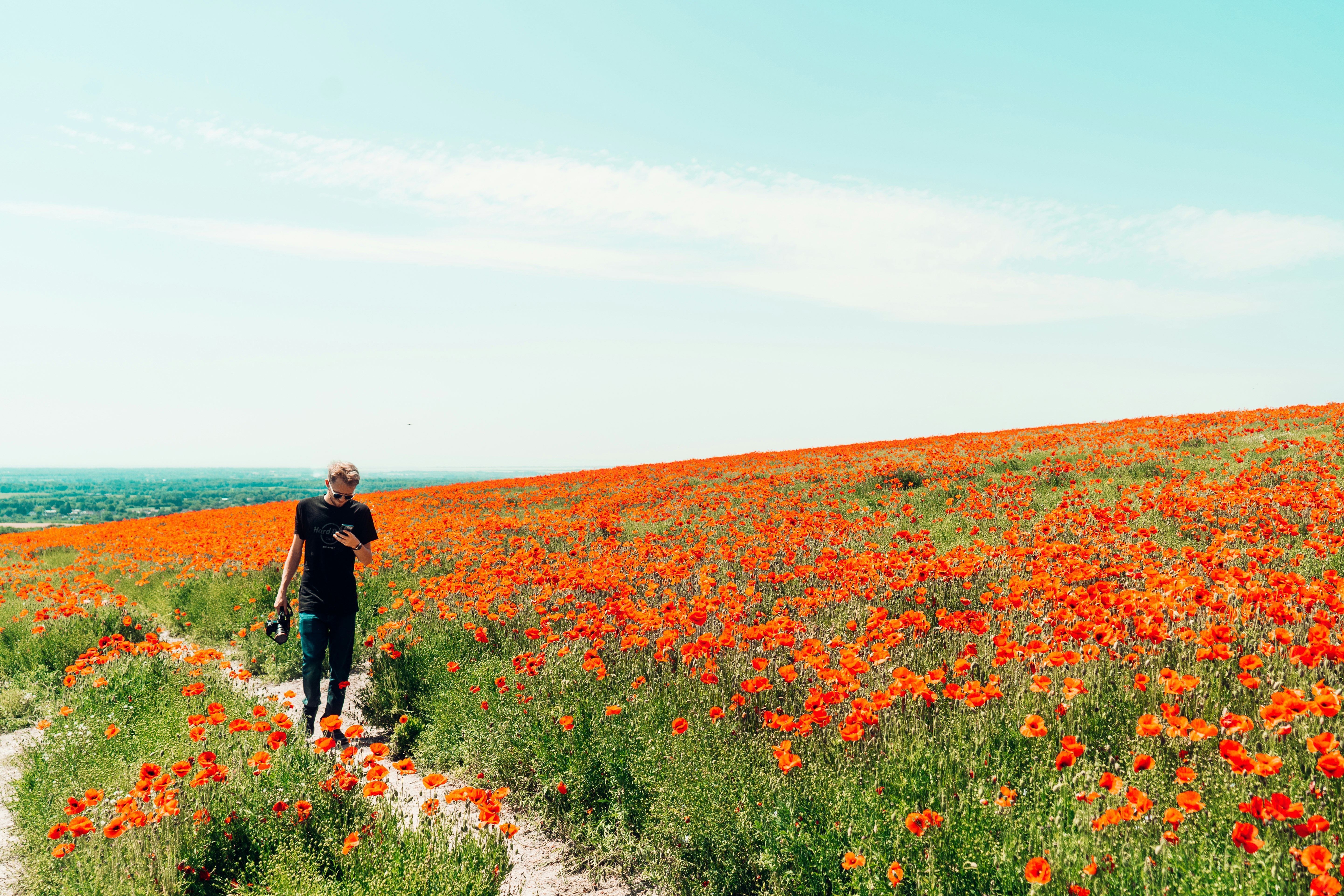 woman in black jacket walking on red flower field during daytime