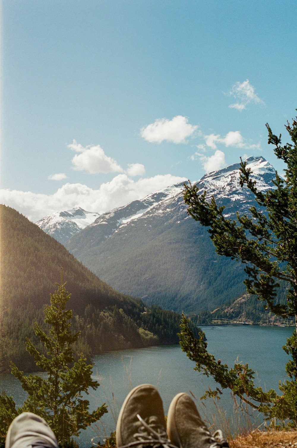 green trees near mountain during daytime