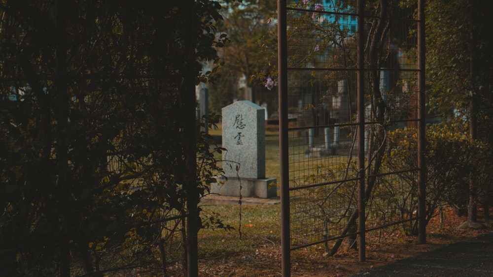 green trees beside gray metal fence