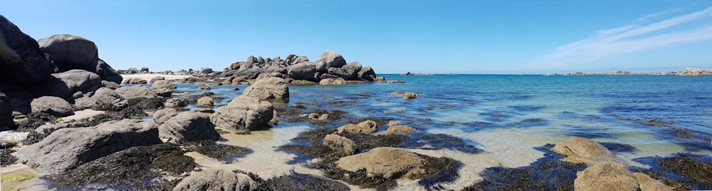 brown rocks on sea shore during daytime