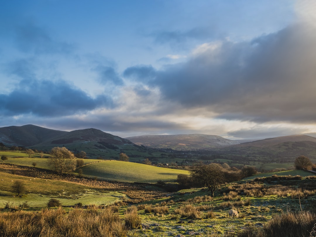 green grass field and mountains under white clouds and blue sky during daytime