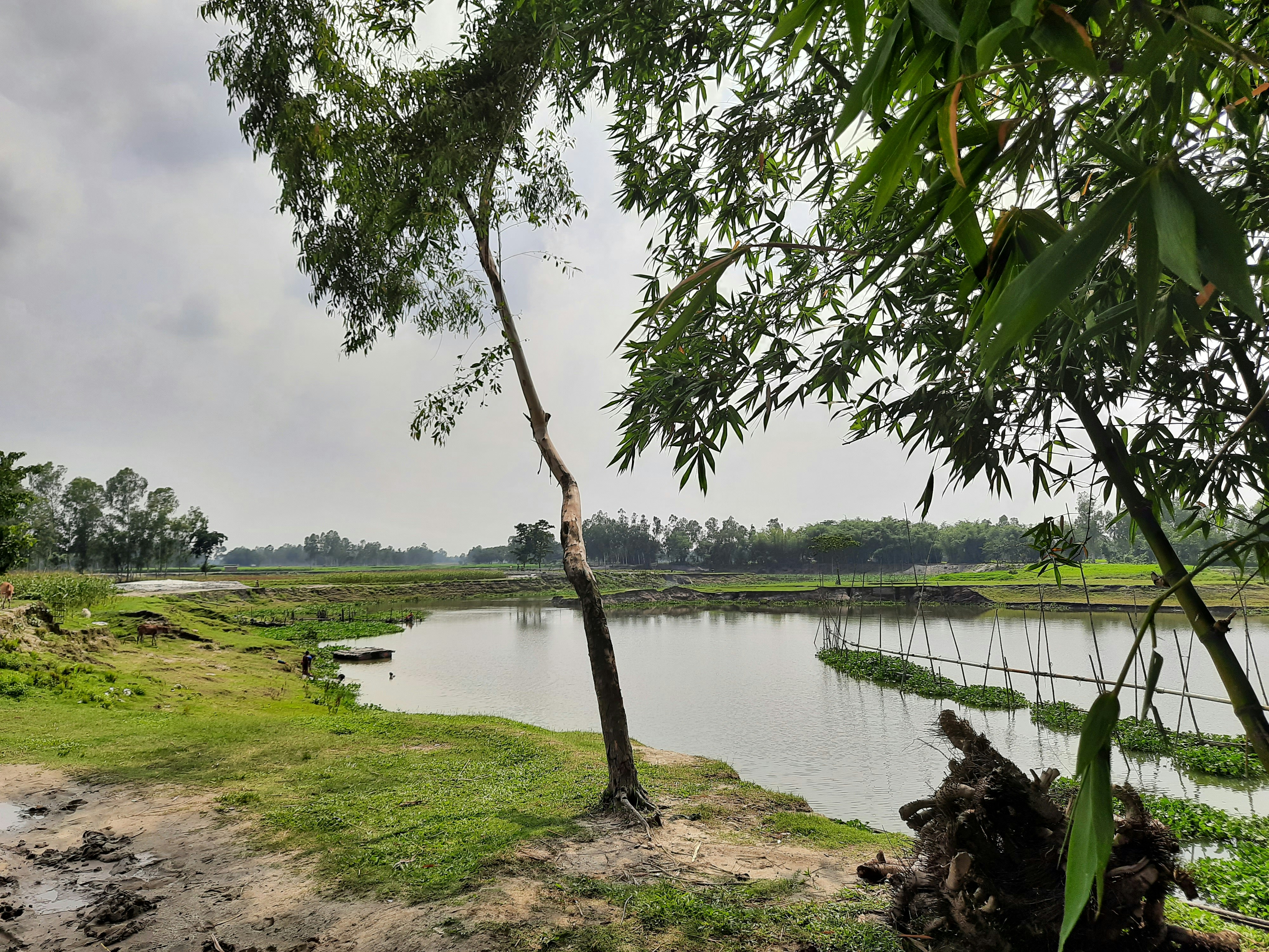 Photo by toukirahmed