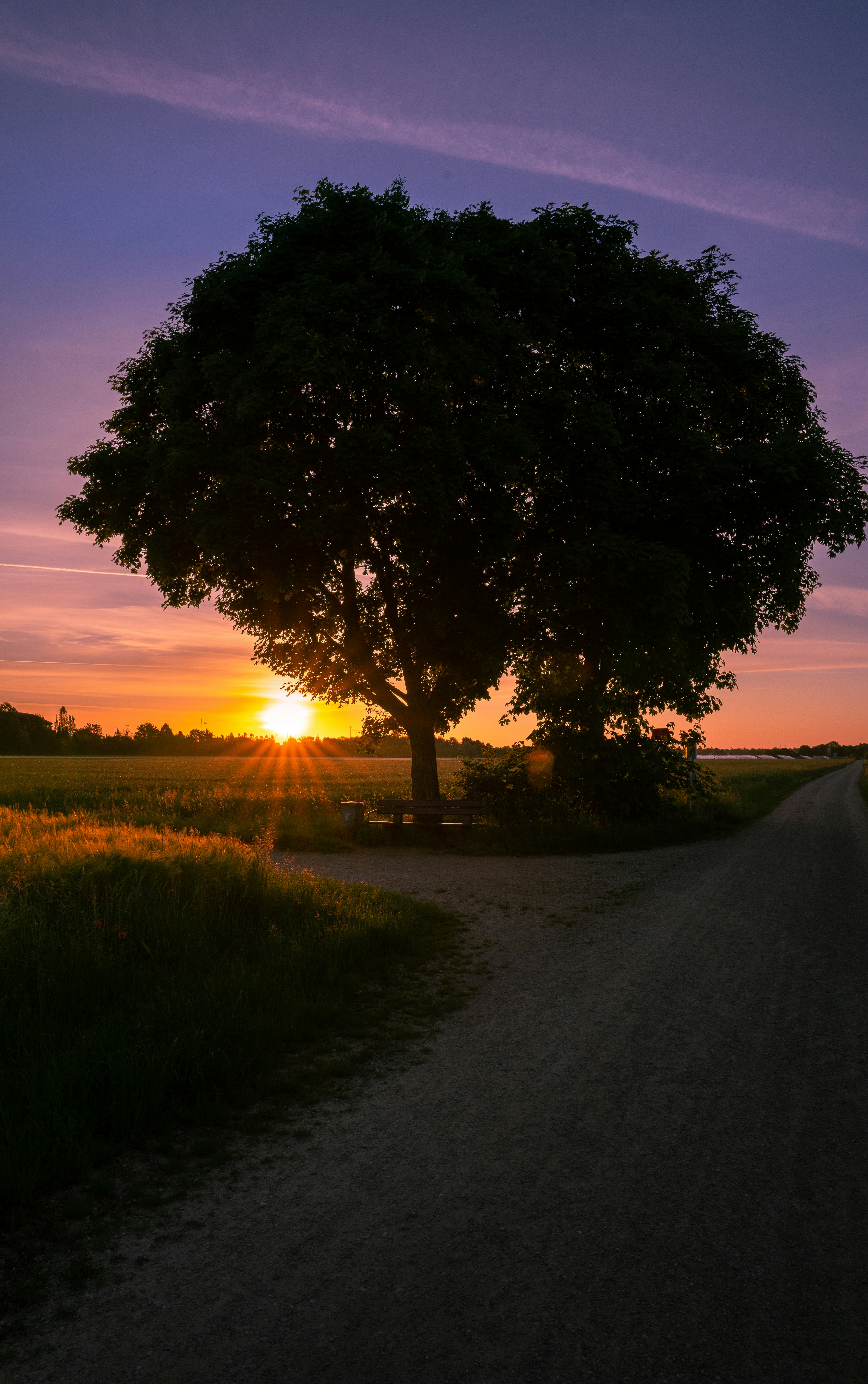 Sunrise Over a Farm Field
