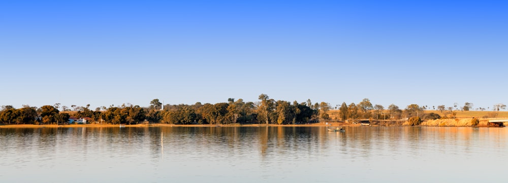 green trees beside body of water during daytime