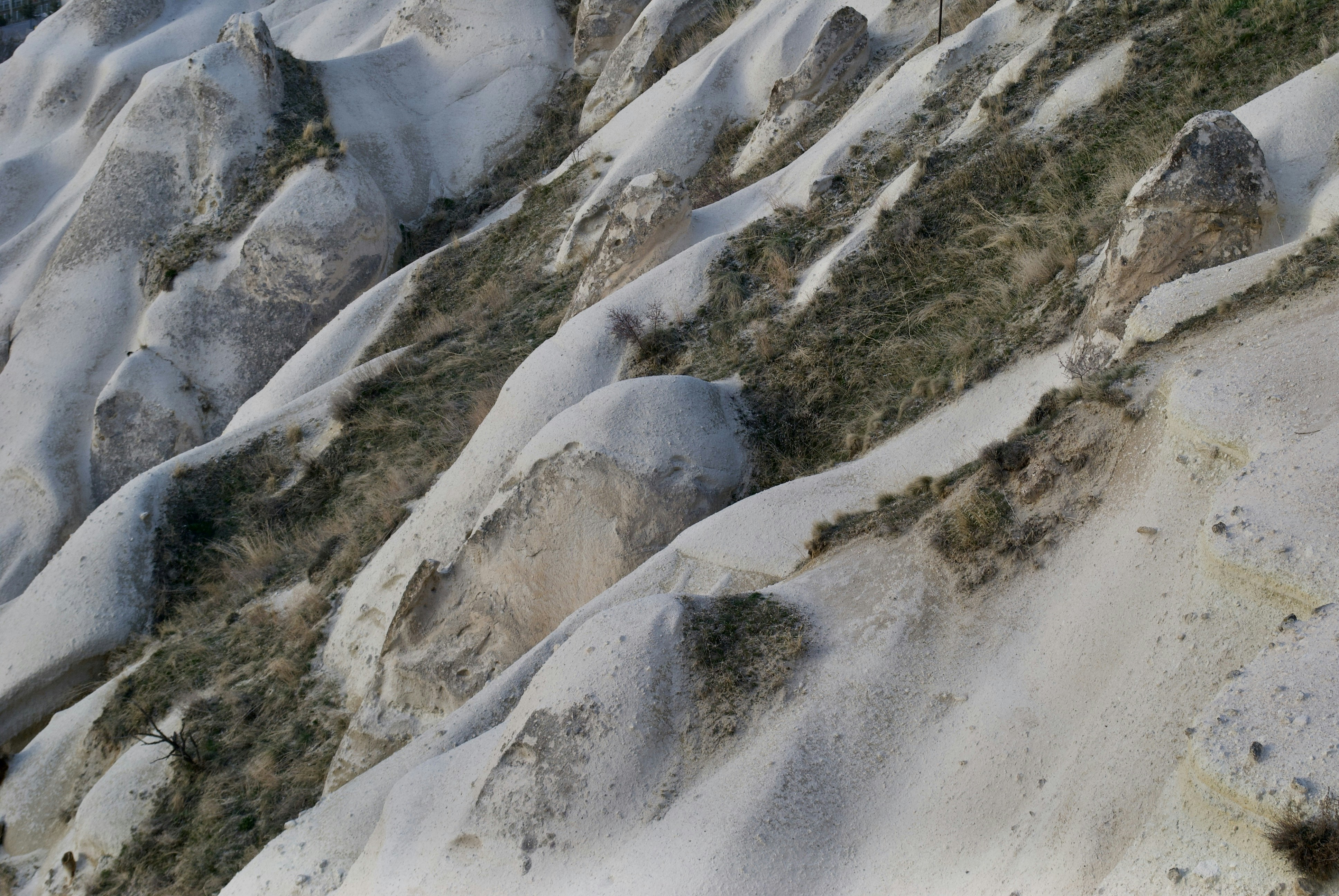 Photo by piernagorda_