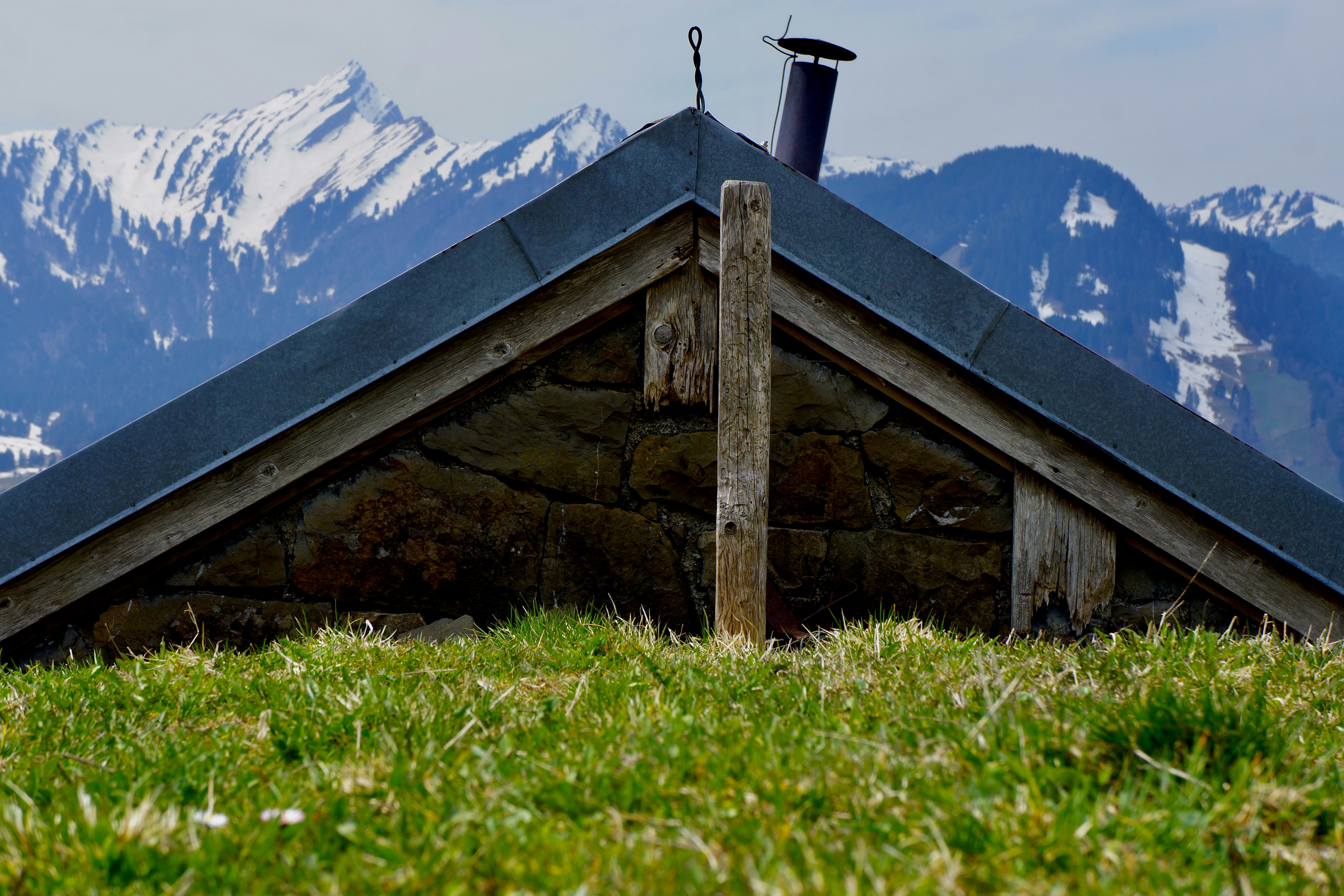 Photo by peterburdon